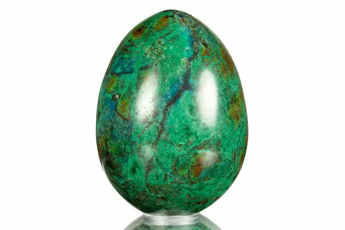 Polished Chrysocolla & Malachite Egg - Peru #308955